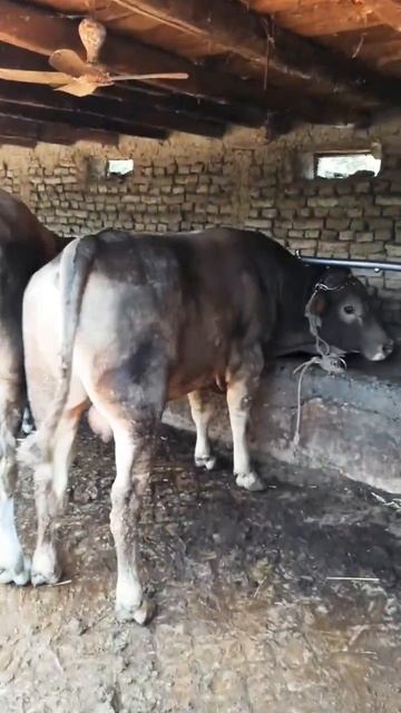 17 декабря 2023 г. смотреть онлайн