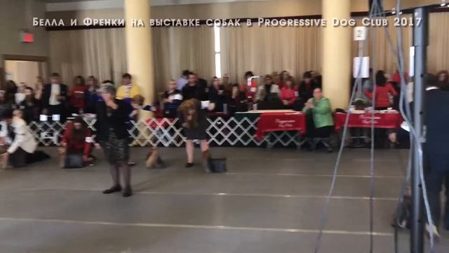 "Как моя Белла покоряла Америку. WW2017 Ch.AKC, Ch.UK Mini Shop Sharman II (BELLA)". смотреть онлайн