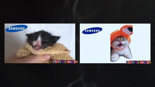 Cute Kitten Meows VS Kitten Meows BUT Famous Phone Ringtones