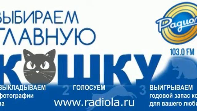 Ролик для клиента - Радиола 103.0 FM смотреть онлайн