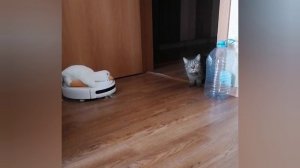 Что происходит?