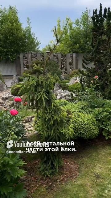 ВРЕДИТЕЛИ смотреть онлайн