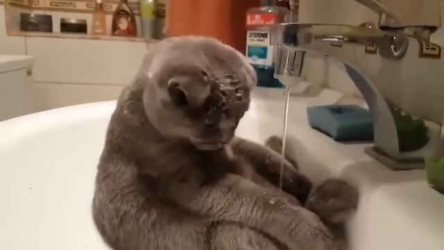 Оой, тёпленькая пошла