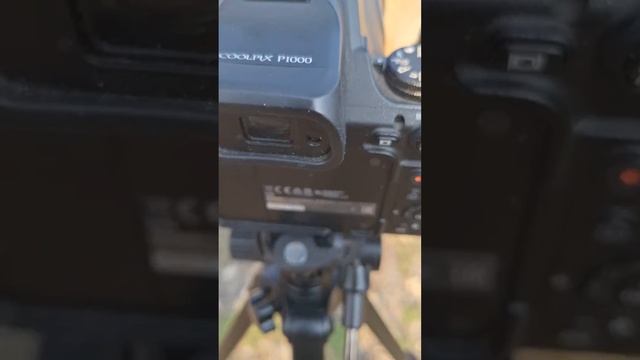 Настройка Nikon Coolpix P1000, часть первая