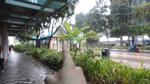 SMU Singapore Tour (Singapore Management University)