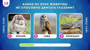 ВИКТОРИНА О ЖИВОТНЫХ /  EMOJI COOL 😎