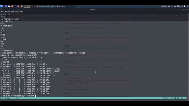 TryHackMe | Cat Pictures Room Walkthrough смотреть онлайн