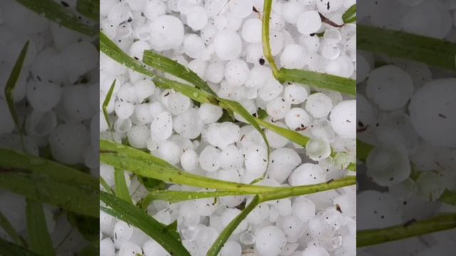 ЧТО ТАКОЕ ГРАД  ?