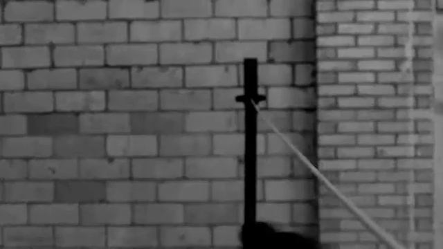 Reigning Champ Video смотреть онлайн