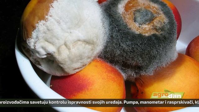 AgroDan_29.04.2024. смотреть онлайн