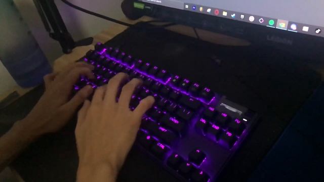 Apex Pro TKL 2023 soundtest смотреть онлайн