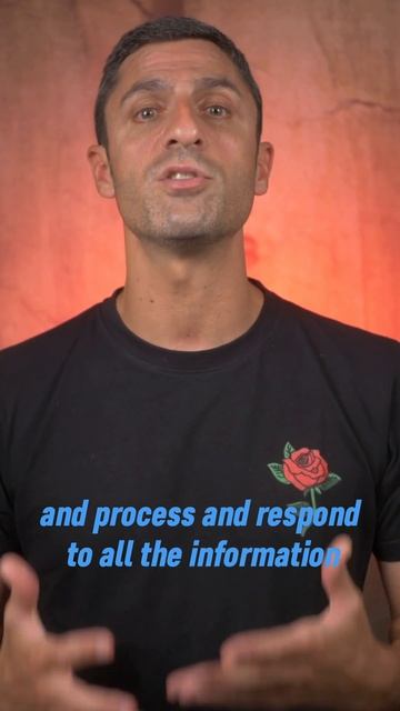 ¿What are neurotransmitters? смотреть онлайн