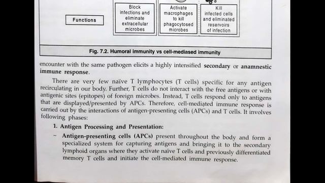 Adaptive Immunity//BSc 6th sem//Immunology//Pdf👇 смотреть онлайн