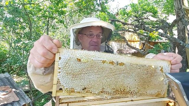 Пчеловодство №107 Наш Пасек. Как мы начинаем сезон откачки меда.