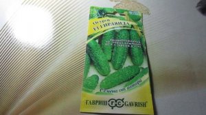 Огурец "Гирлянда F1": Обзор партенокарпического гибрида от Гавриш | Особенности ухода