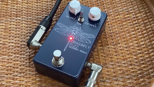 Dragonfly Fuzz