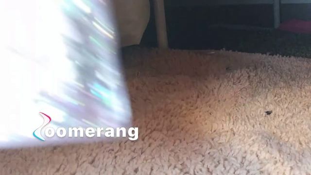 Online business check ✔ смотреть онлайн