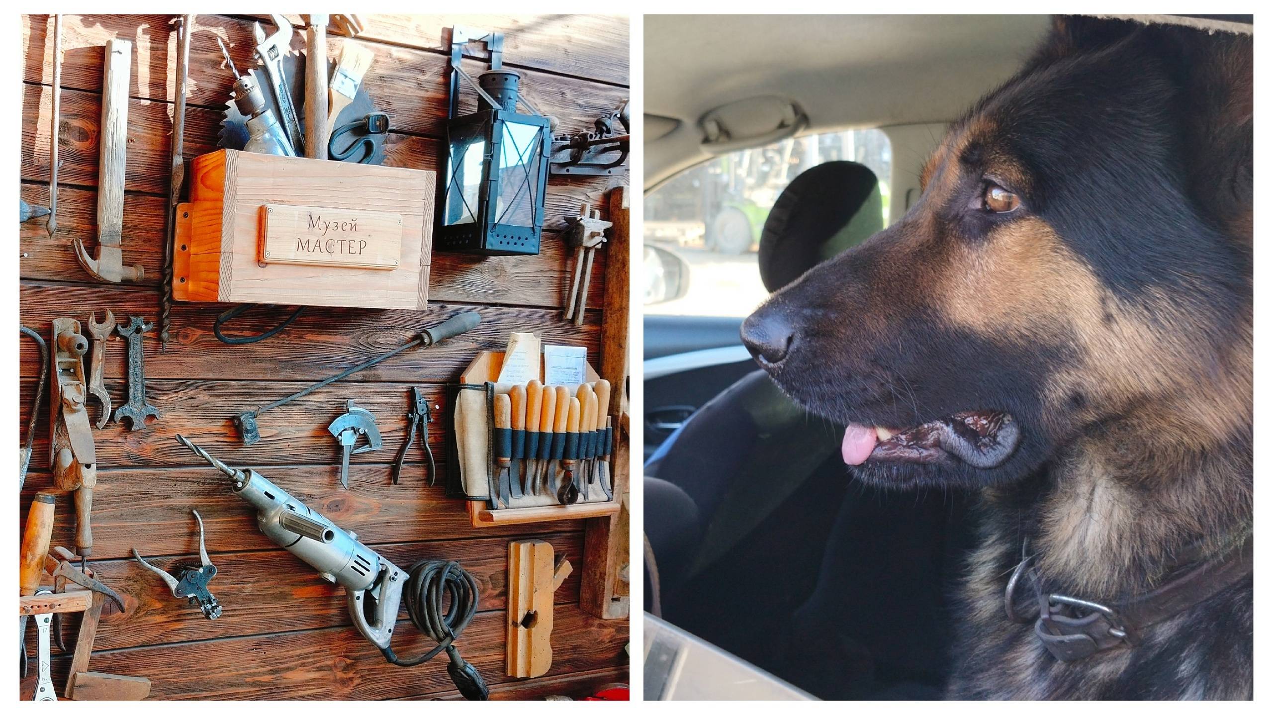 Начнем с простого.Два ботаника.Вопрос - ответ. смотреть онлайн