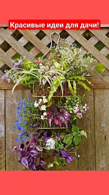 Идеи для дачи #18 смотреть онлайн