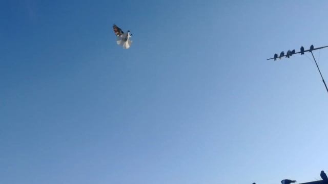 28 ноября 2023 г. смотреть онлайн