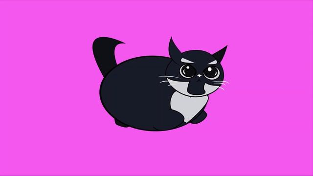maxwell dancing the cat meme 2023 #catfunnymoments #maxwellcat #shorts #shortsvideo #catdancememe смотреть онлайн