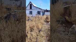 Воскресенье солнышко.