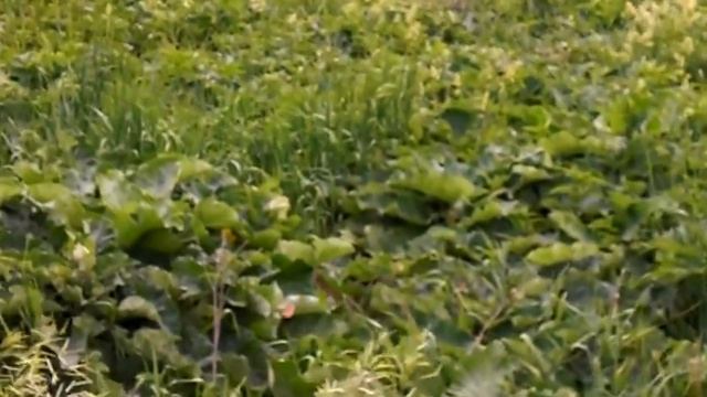 Изображение 011 смотреть онлайн