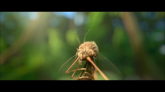 Rio 2 - tartarugas capoeiristas смотреть онлайн