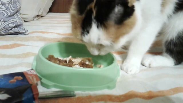 Эша день второй Кофе в постель смотреть онлайн