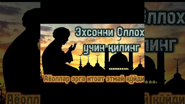 Аёолар эрга итоат этмай қўйди смотреть онлайн