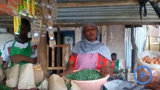 Business people cry foul over ban on plastic bags in Tana River county смотреть онлайн