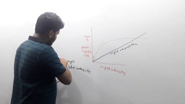 Fluorescense,Resonance ,Photo-Oxidation,Singlet,triplet chlorophyll Photosynthesis part-9 смотреть онлайн