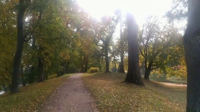 Заботливые мужчины Лены Хеппи.Танцевать-не мешки ворочать. смотреть онлайн
