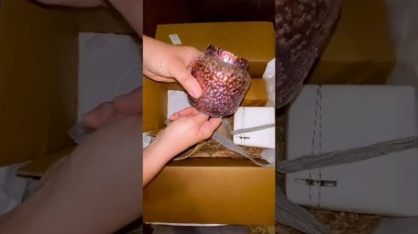 Home Decor Subscription Box Unboxing & Haul | Home Decor