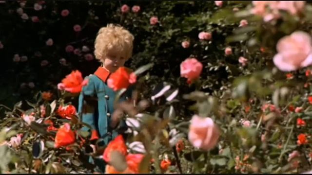 Олег Луганцев - Маленький Принц.flv смотреть онлайн