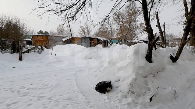 GH011114 смотреть онлайн