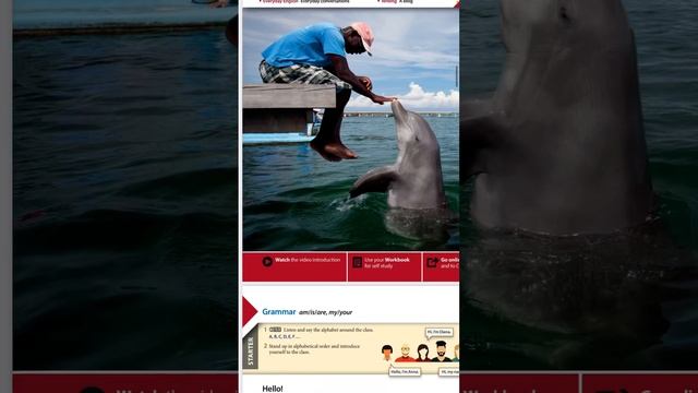 Second year 4th lecture part 1 смотреть онлайн