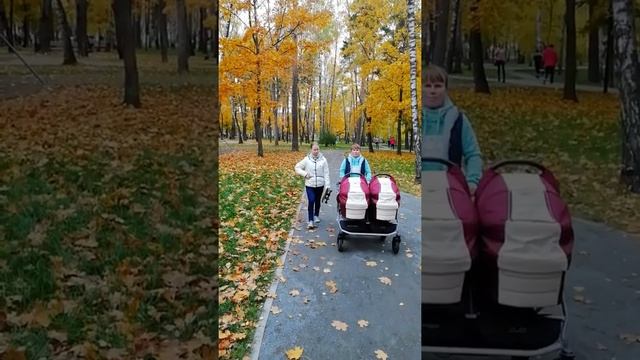 Моя большая семья смотреть онлайн