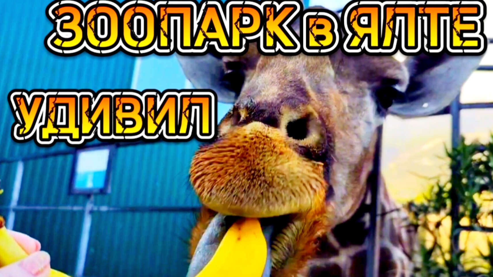 Ялта ЗООПАРК СКАЗКА. Такое мы не ожидали увидеть в Крыму. Показываю как есть смотреть онлайн