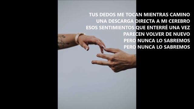 WE WILL NEVER KNOW - Fernando de la Torre смотреть онлайн