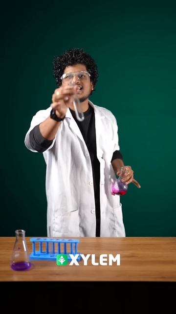 10 CBSE Chemistry - Acids, Bases And Salts | Experiments / Don't Miss it 💯 | Xylem Class 10 CBSE смотреть онлайн
