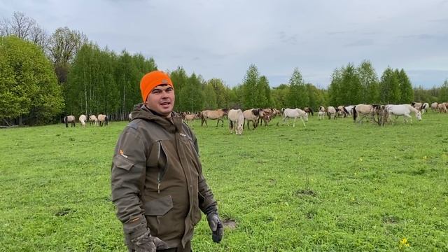 Приглашаем всех на соревнование/ Проверили жеребцов/ Удивили новые колеса на квадроцикле Атлет смотреть онлайн