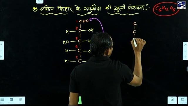 Bio molecules acid class 12 chapter 14 chemistry hindi medium रसायन 12 वीं смотреть онлайн