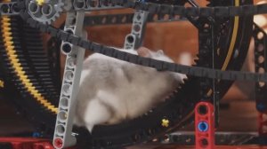 Передвижной домик Lego для Хомяка | Lego Mobile House for Hamster