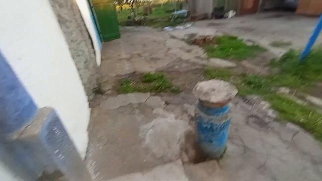 ГОТОВИМ ВМЕСТЕ УЖИН смотреть онлайн