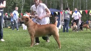 всероссийская выставка РФЛС (Ка де бо)