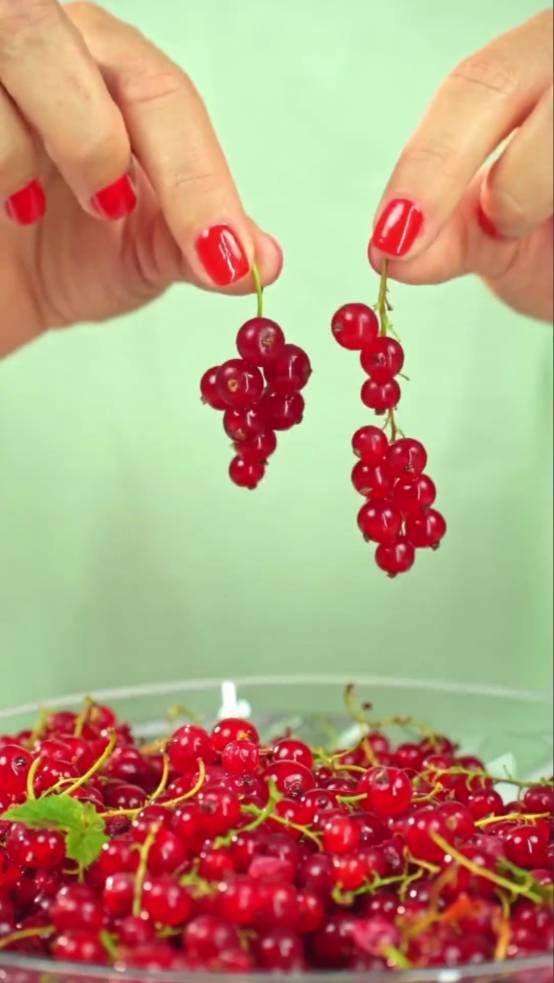 Квас из красной смородины