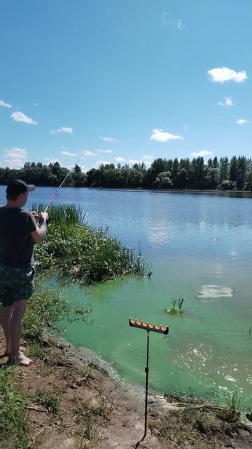 Рыбалка на Волхове