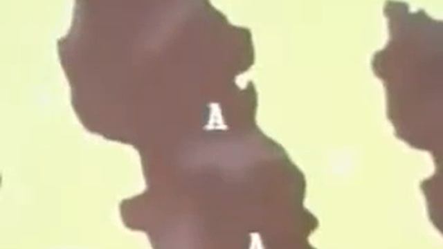 Кристалізація. Діаграми стану систем смотреть онлайн