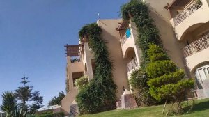 Плюсы и минусы отеля Prima Life Makadi